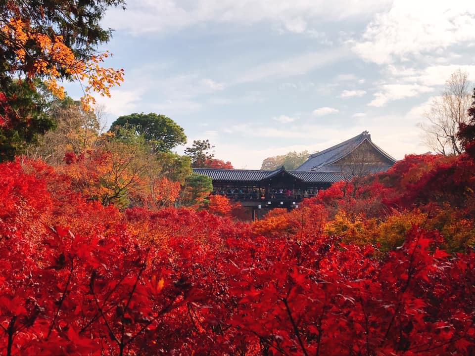 京都　紅葉